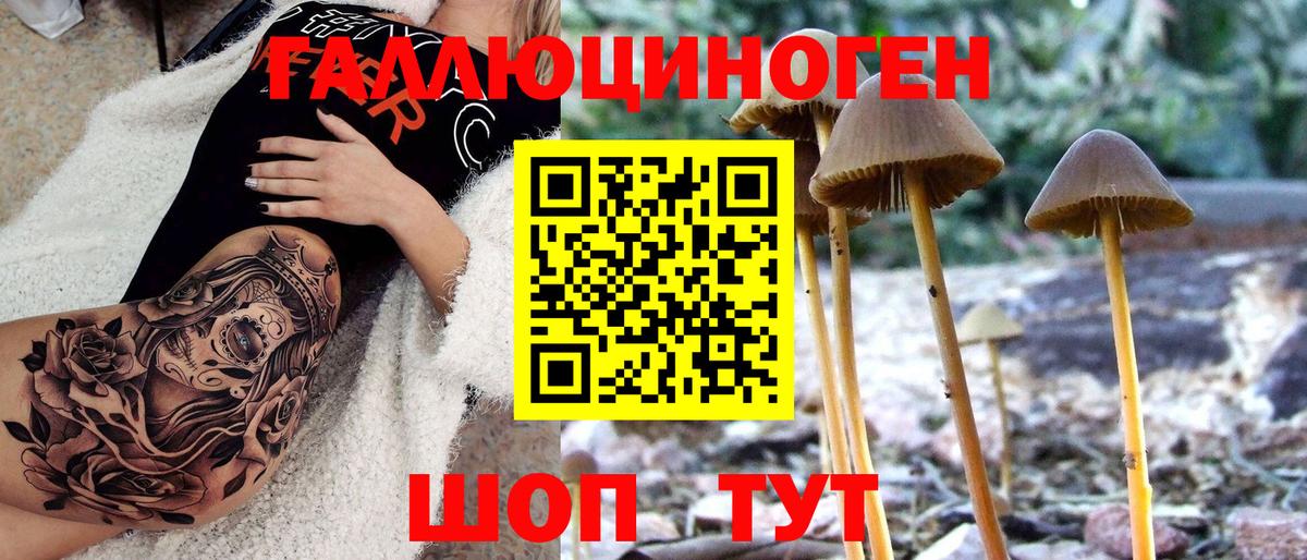 Галлюциногенные грибы Magic Shrooms  Вход с VPN  Асино 